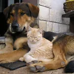 Mit Balkon Und Terrasse By Interhome