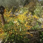 Mit Balkon Und Terrasse By Interhome *