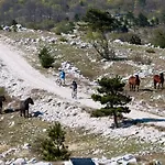 Apartment Mit Balkon Und Terrasse By Interhome