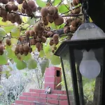 Mit Balkon Und Terrasse By Interhome