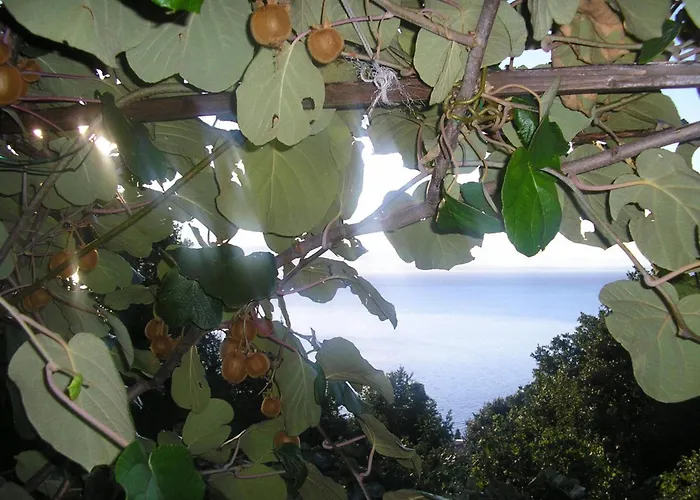 Mit Balkon Und Terrasse By Interhome * 奥帕提亚