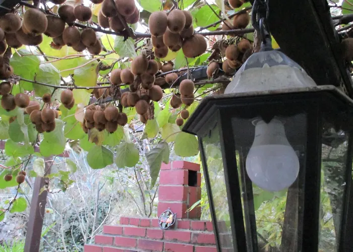 Mit Balkon Und Terrasse By Interhome