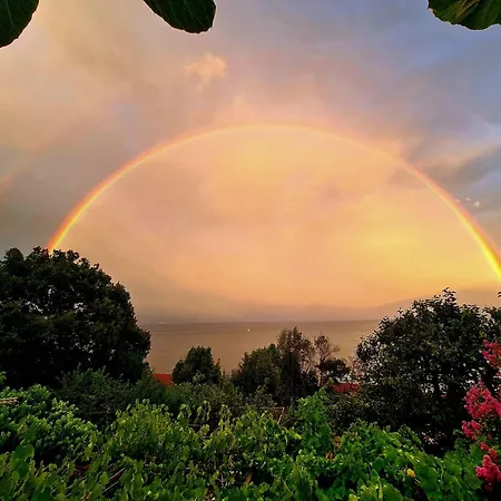 Apartment Mit Balkon Und Terrasse By Interhome Opatija