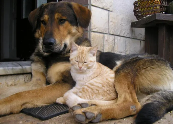 Mit Balkon Und Terrasse By Interhome