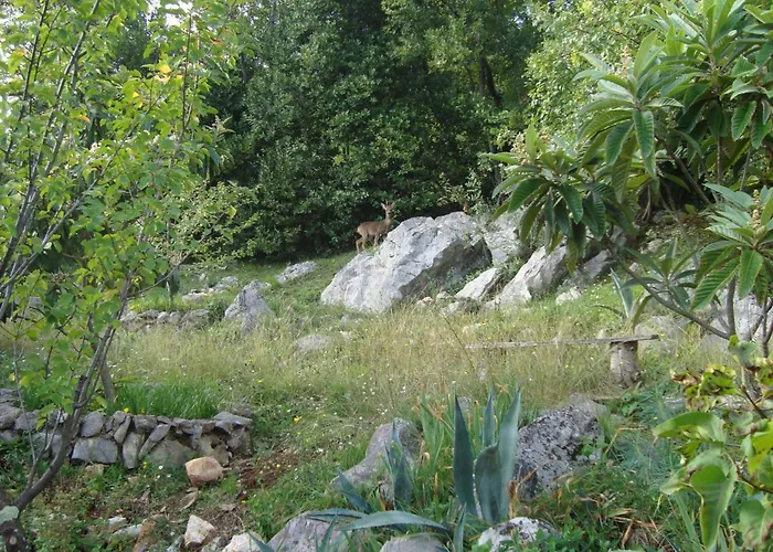 Mit Balkon Und Terrasse By Interhome Appartement Opatija