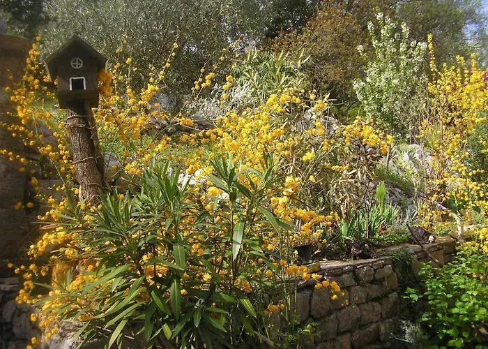 Mit Balkon Und Terrasse By Interhome *