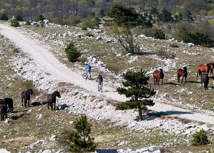 Appartement Mit Balkon Und Terrasse By Interhome